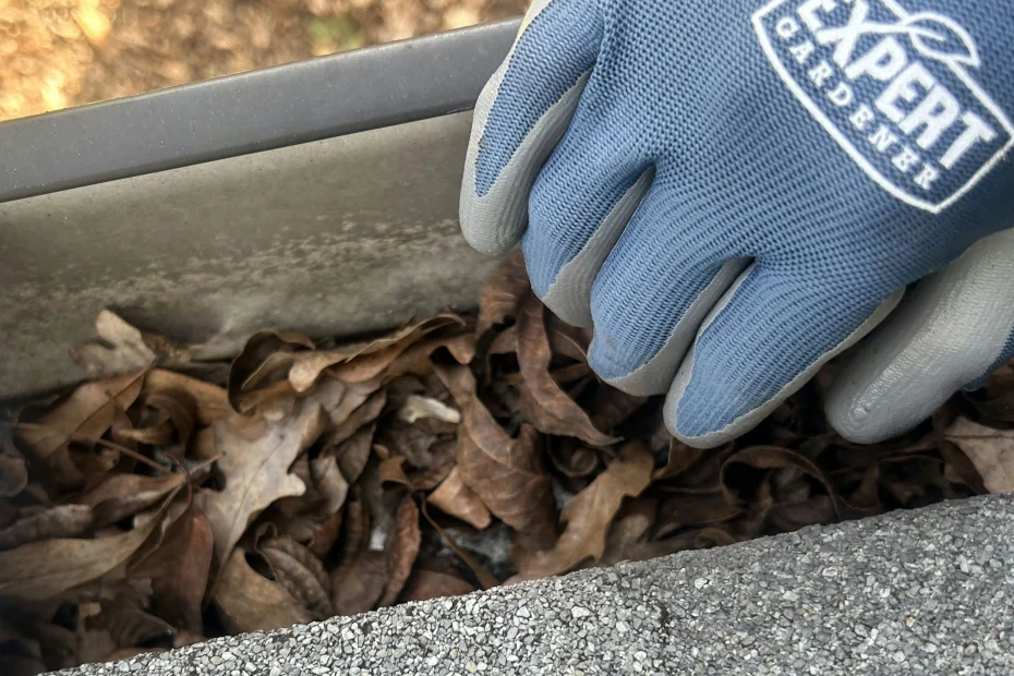 Closter Gutter Cleaning