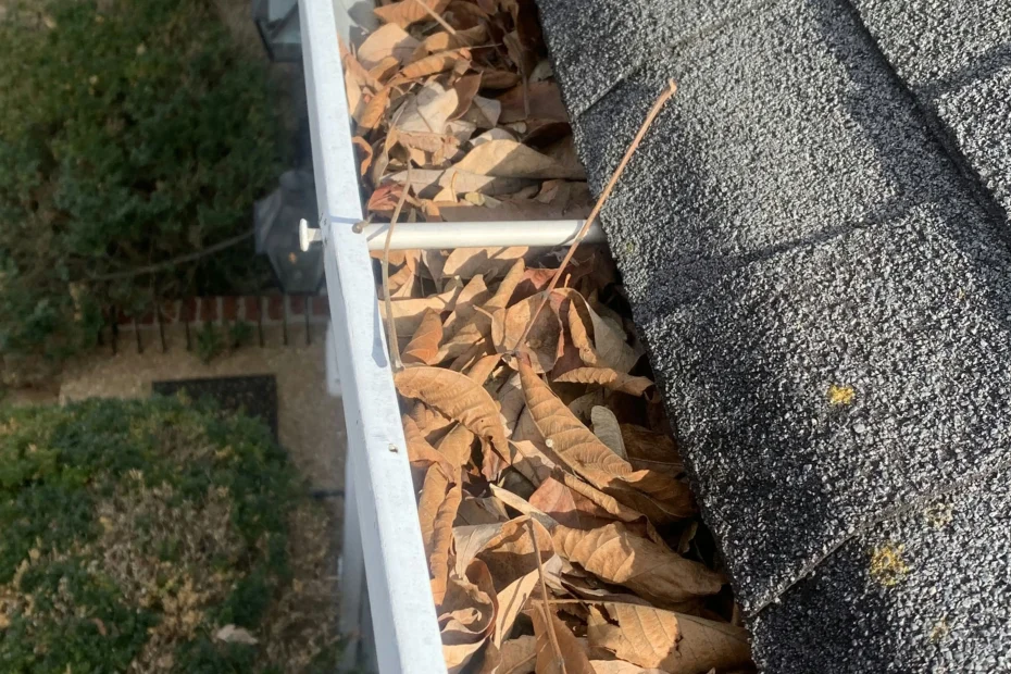 Closter Gutter Cleaning